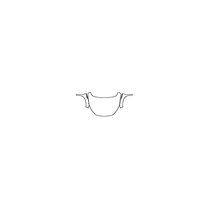 Infiniti QX55 Exterior 2021 - Hood+Fender