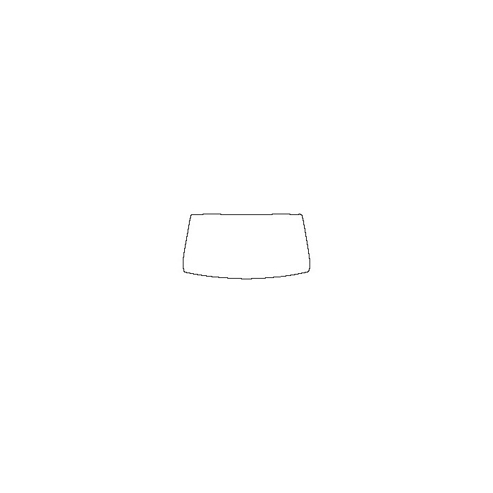Windshield (inside)