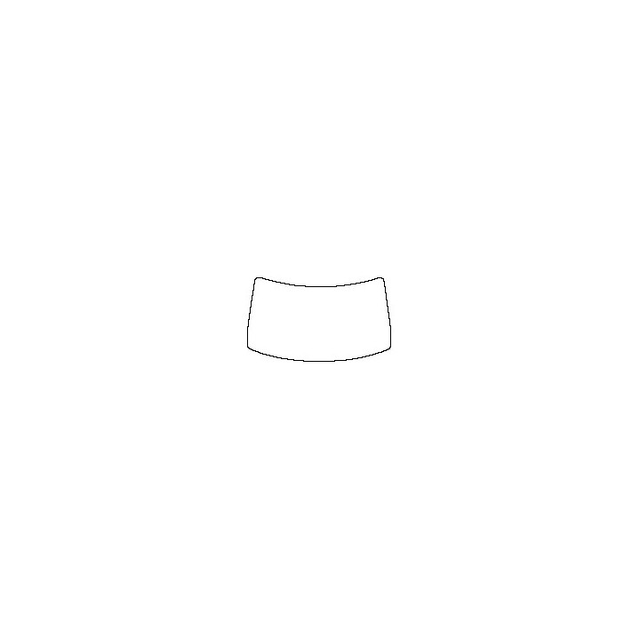 Windshield (inside)