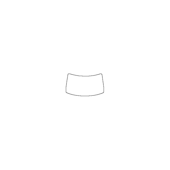 Windshield (inside)
