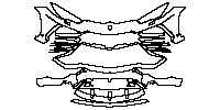Lamborghini Urus Base 2018 - Bumper+Headlamp