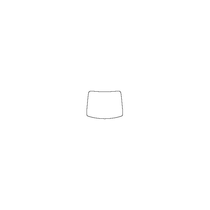 Windshield (inside)
