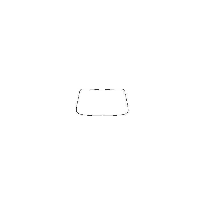 Windshield (inside)