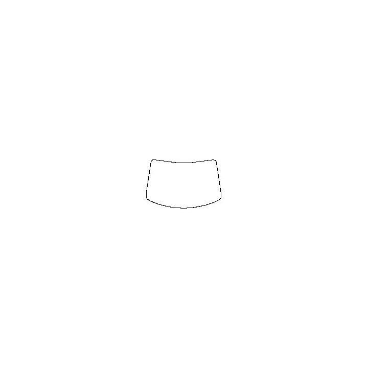 Windshield (inside)
