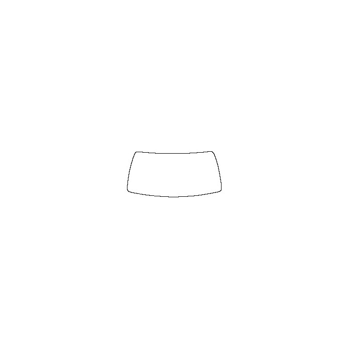 Windshield (inside)