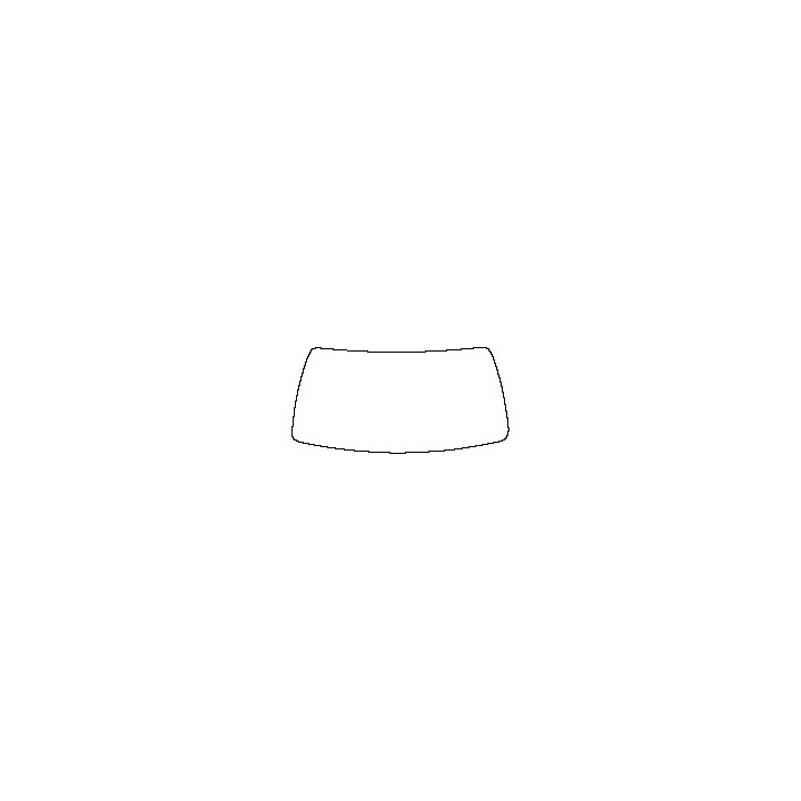 Windshield (inside)