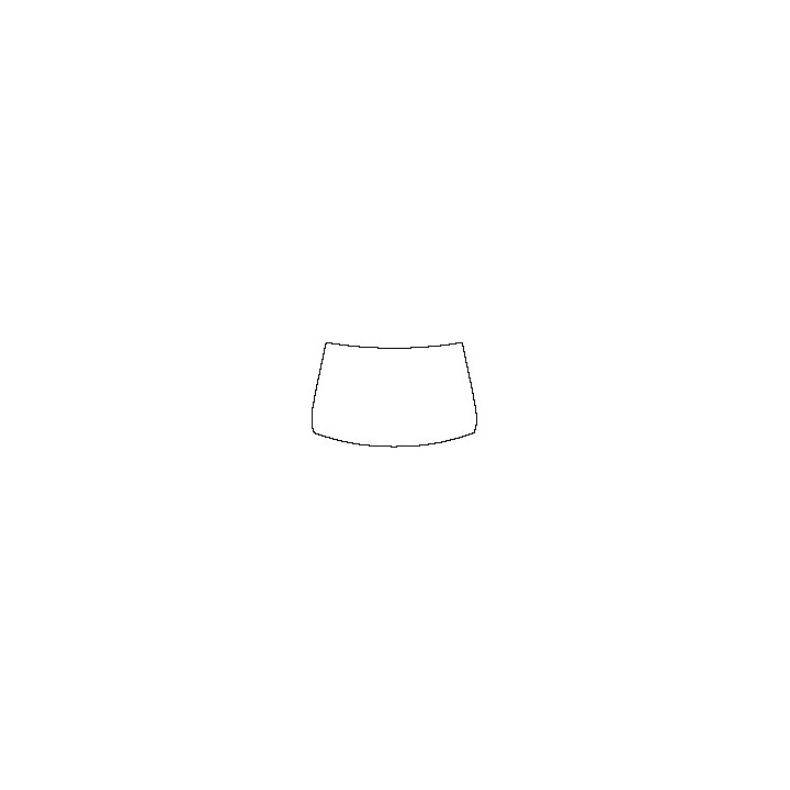 Windshield (outside)