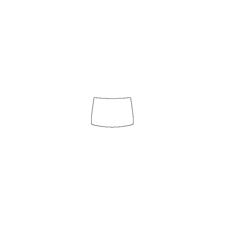 Windshield (outside)