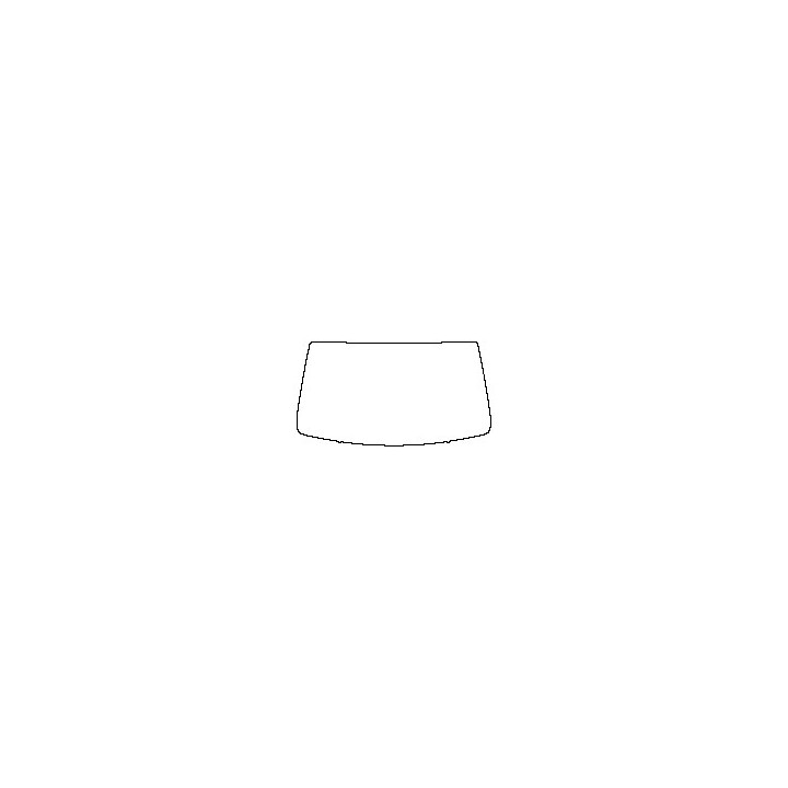 Windshield (inside)
