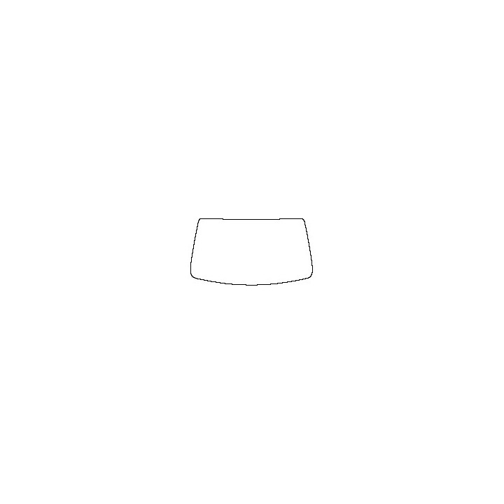 Windshield (inside)