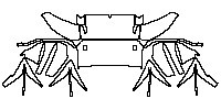 Lower Rear Bumper