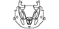 Trunk Lid