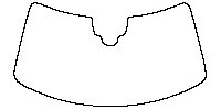 Windshield