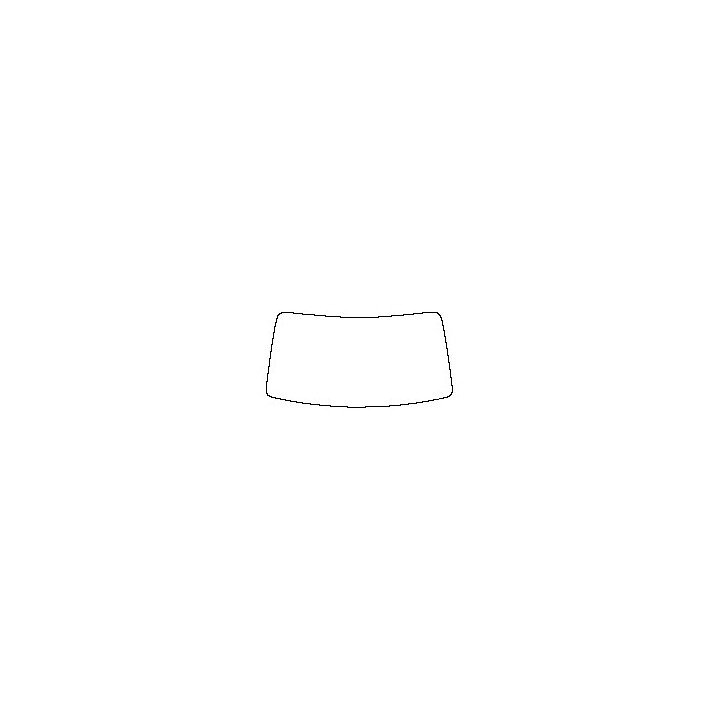 Windshield (inside)