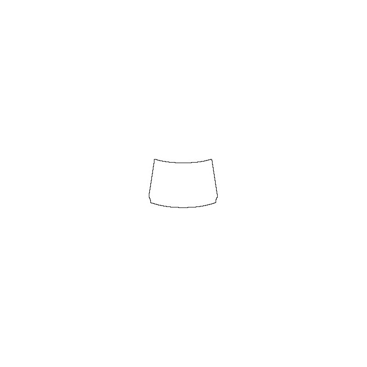 Nissan Rogue Window 2021 - Windshield (outside)