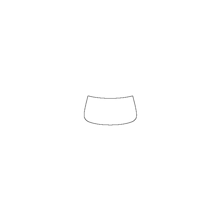 Nissan Z Window 2023 - Windshield (outside)