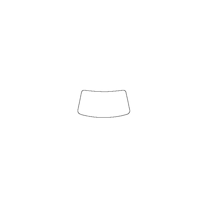 Windshield