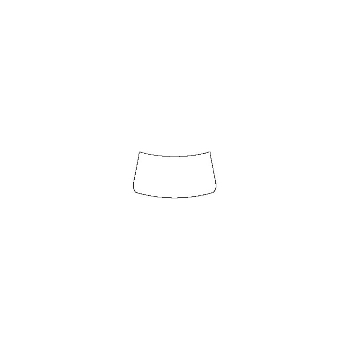 RAM Trucks 2500 Crew Cab 2019 - Windshield (outside)
