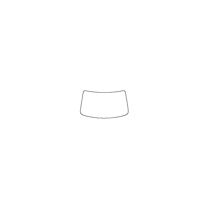 Windshield