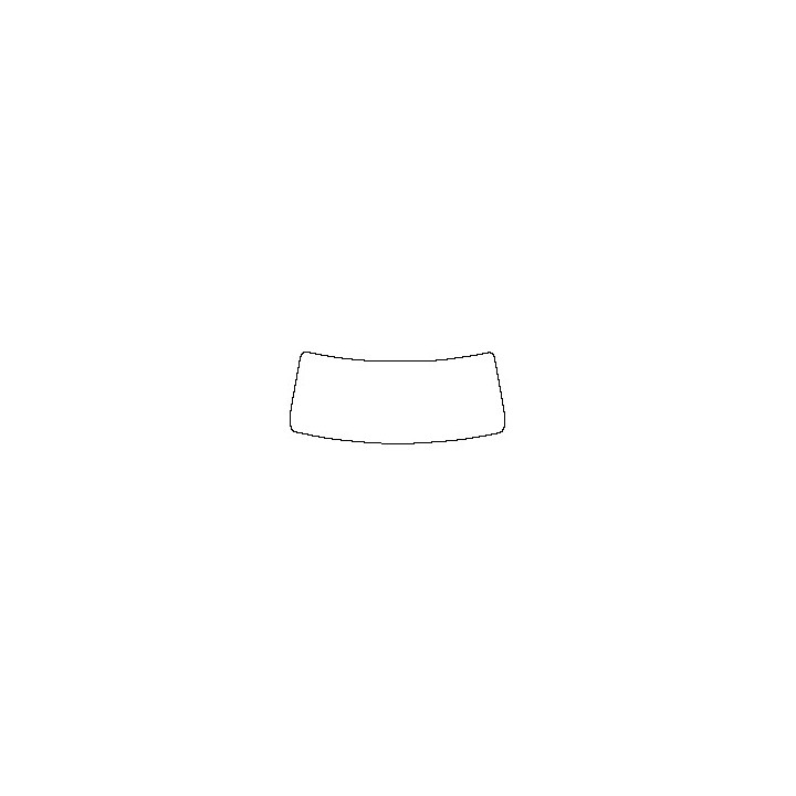 Windshield (inside)