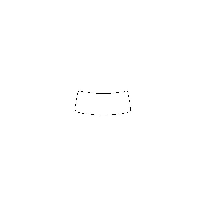 Windshield (inside)