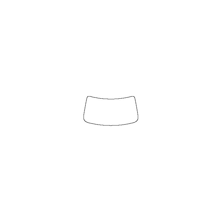 Windshield