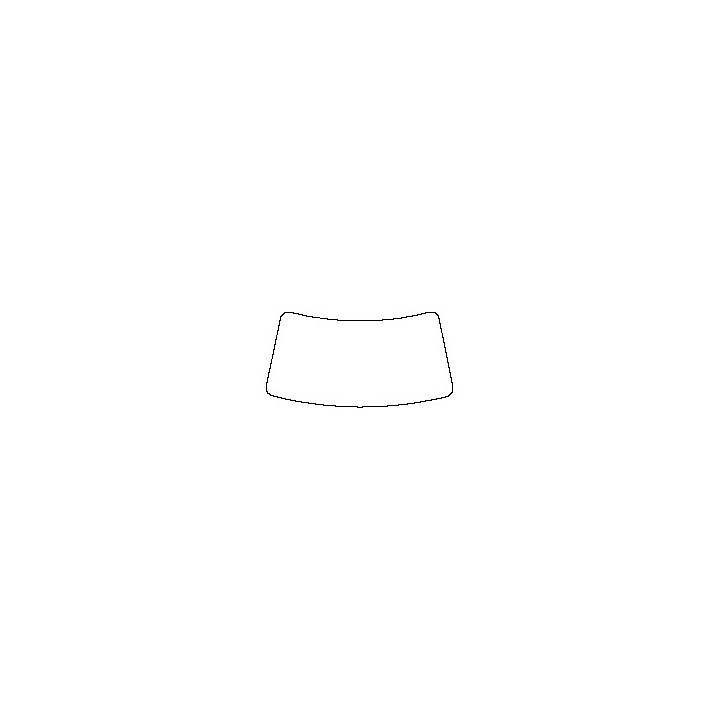 Windshield