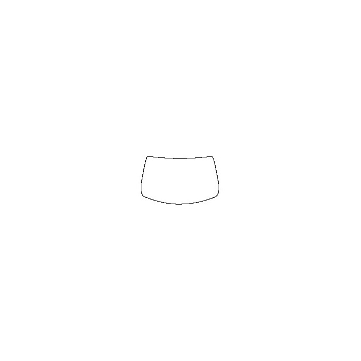 Windshield
