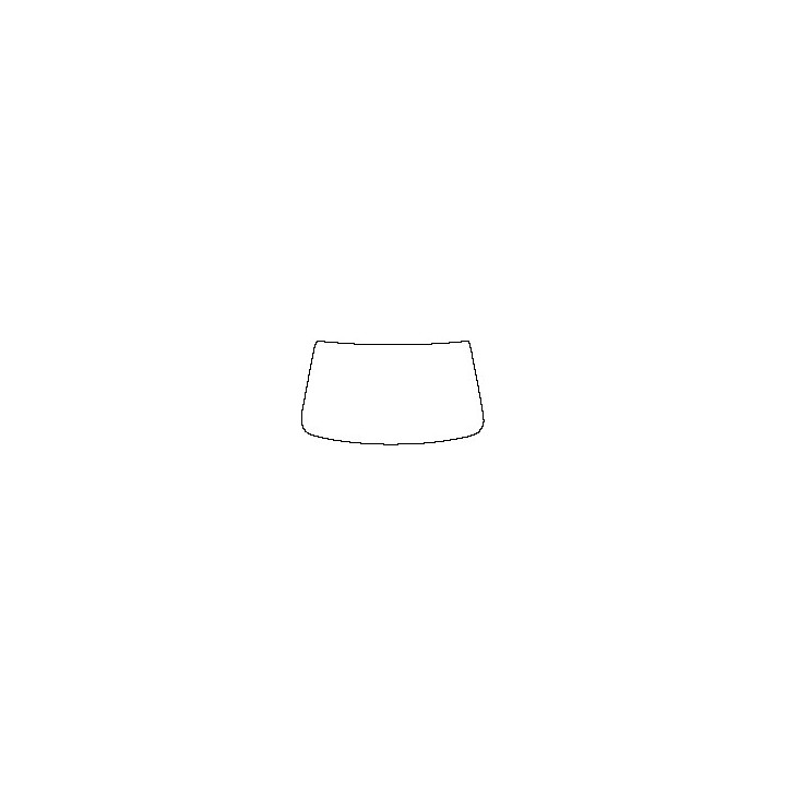 Windshield
