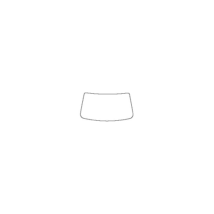 Windshield (inside)
