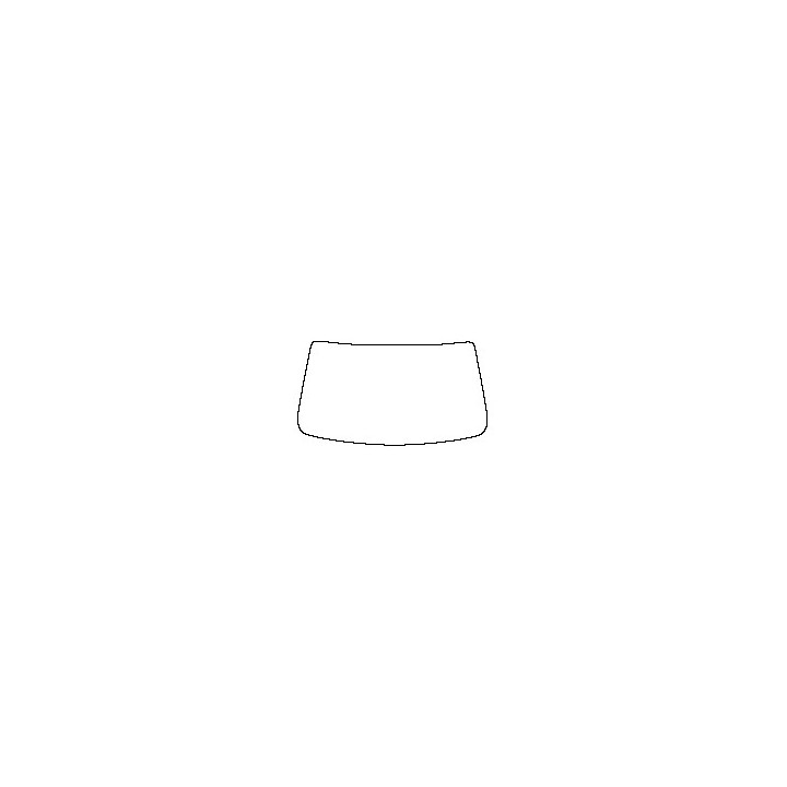 Windshield (inside)