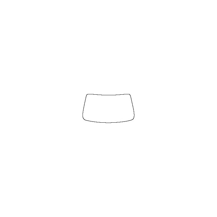 Windshield (inside)