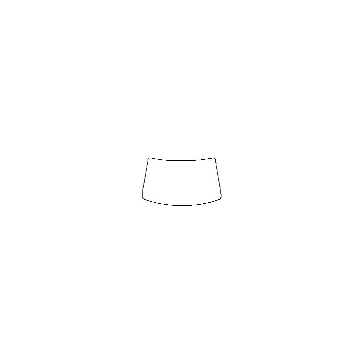 Windshield (inside)
