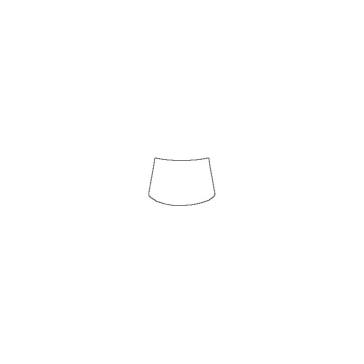 Windshield (outside)