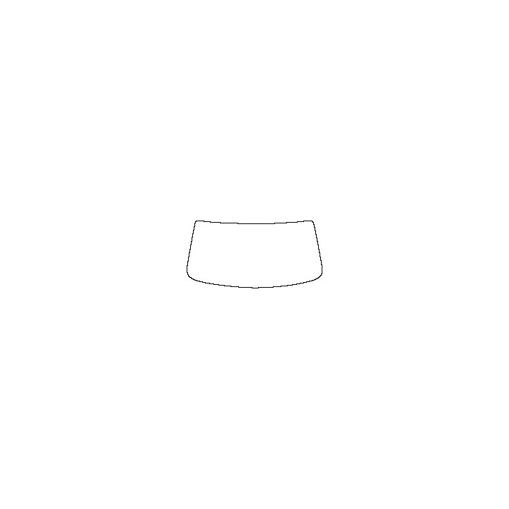 Windshield (inside)