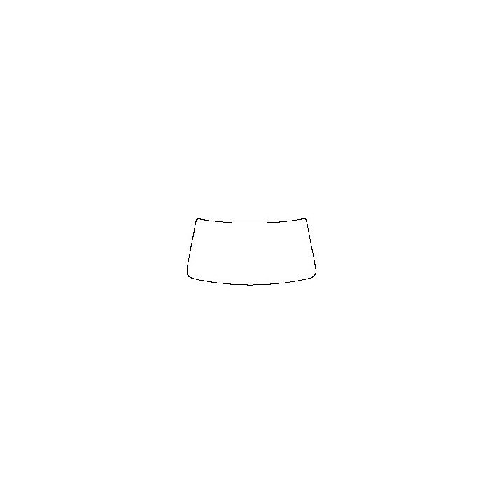 Windshield (inside)