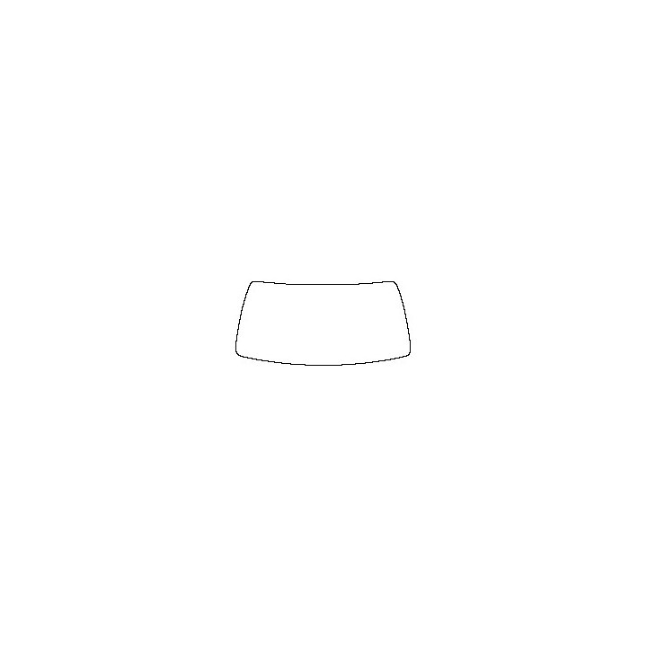 Windshield (inside)