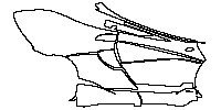 McLaren 600LT Spider 2018 - (right) Door+Rear Fender+Side Skirt (with "600LT" emblem on Rocker Panel)