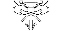 head of motorcycle