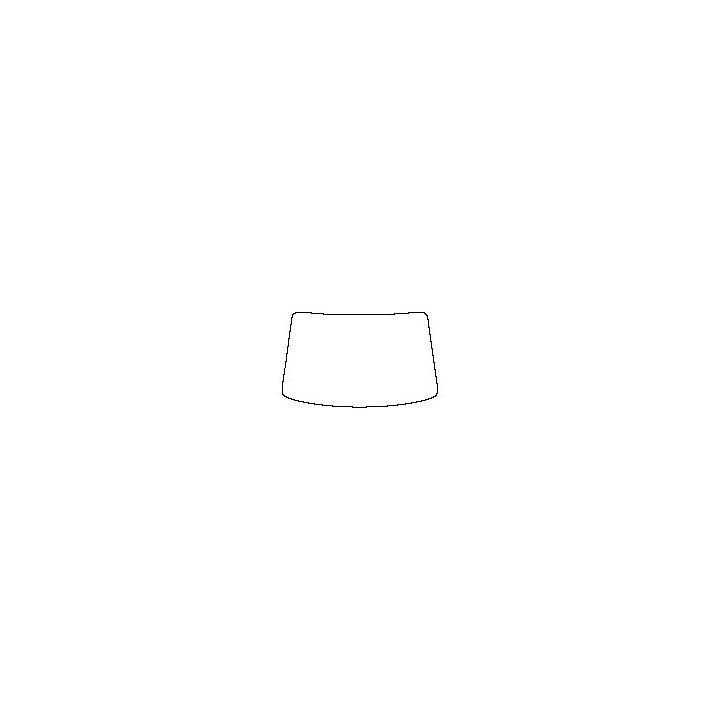 Windshield (inside)