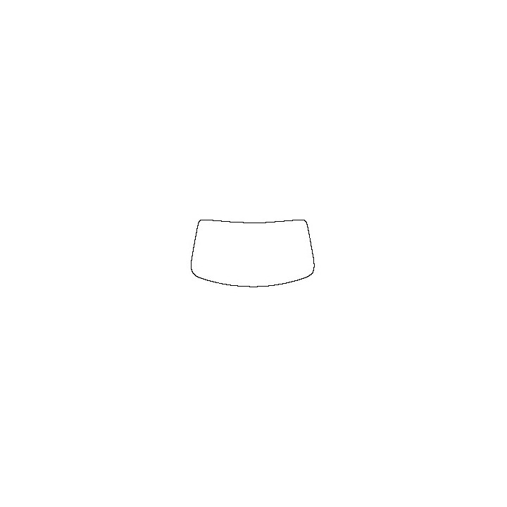 Windshield (inside)