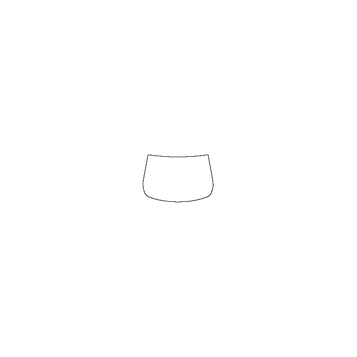 Windshield (outside)