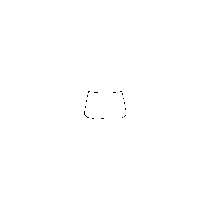 Subaru Outback (CN) Window 2021 - Windshield (outside)