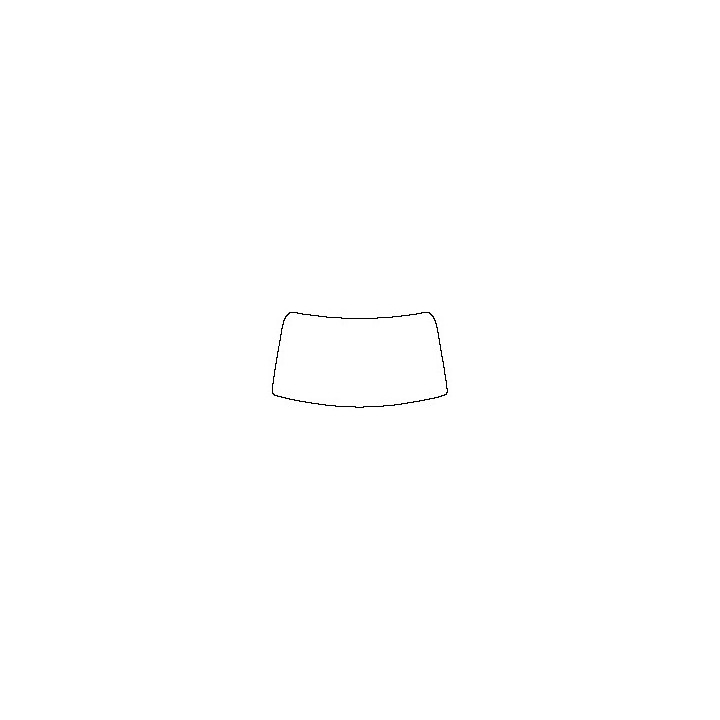 Windshield (inside)
