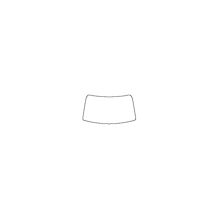 Windshield (inside)