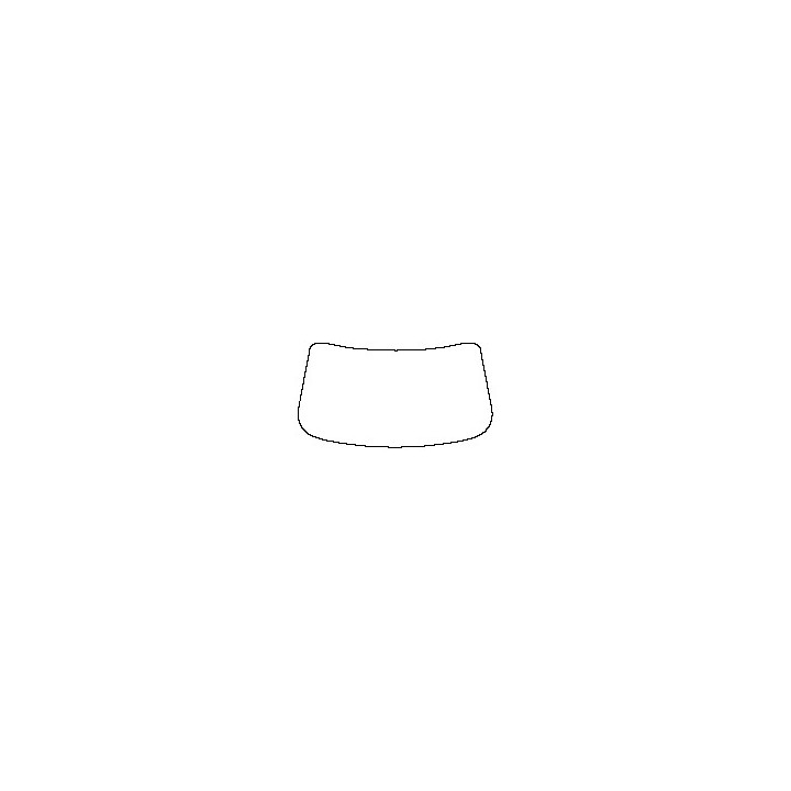 Windshield (inside)