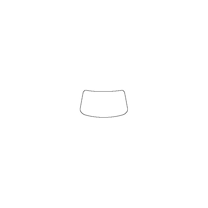 Windshield (inside)
