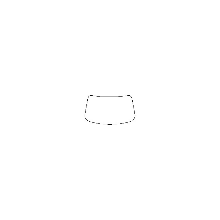 Windshield (inside)