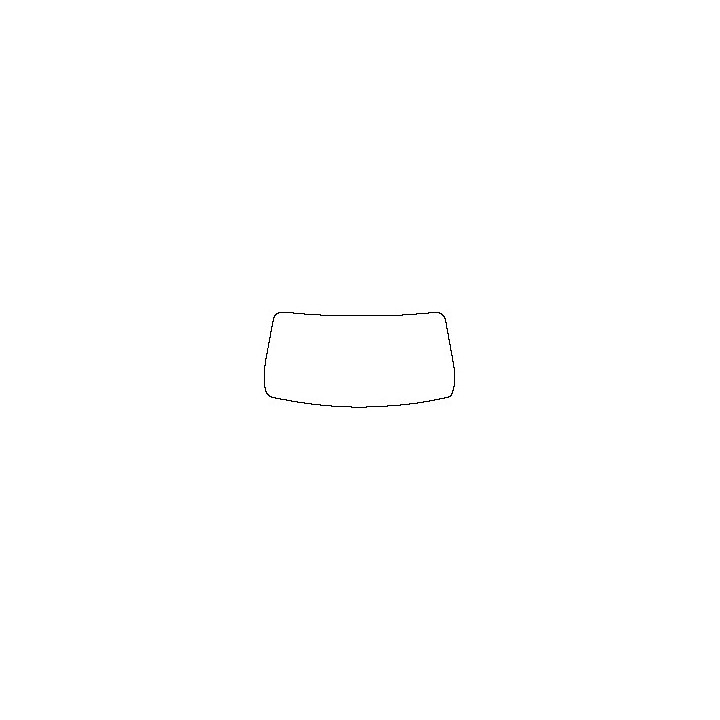 Windshield (inside)