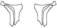 Fender